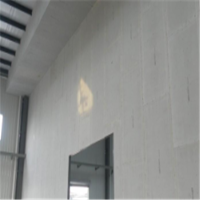 湘阴新型建筑材料掺多种工业废渣的ALC|ACC|FPS模块板材轻质隔墙板